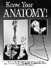 Know Your Equine Anatomy! 